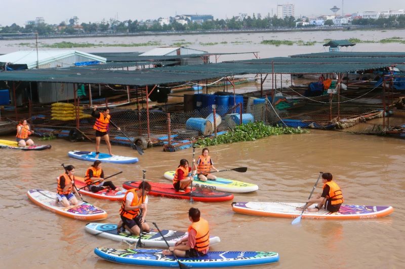 cá cược thể thao hul city